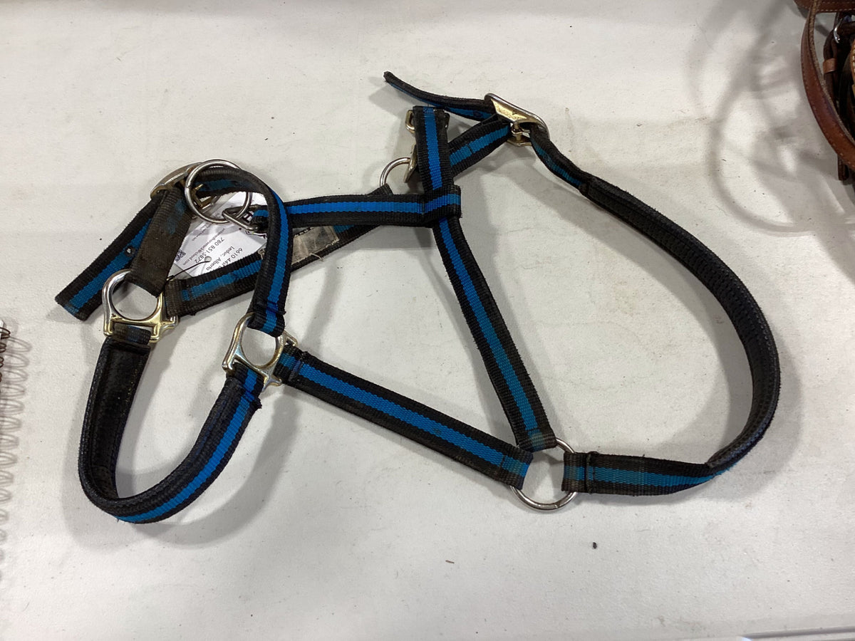 Halter Nylon Black/Blue Large