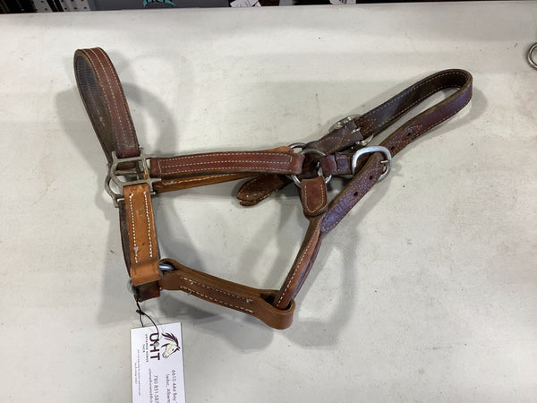 Halter – Leather (A) | Used, Good