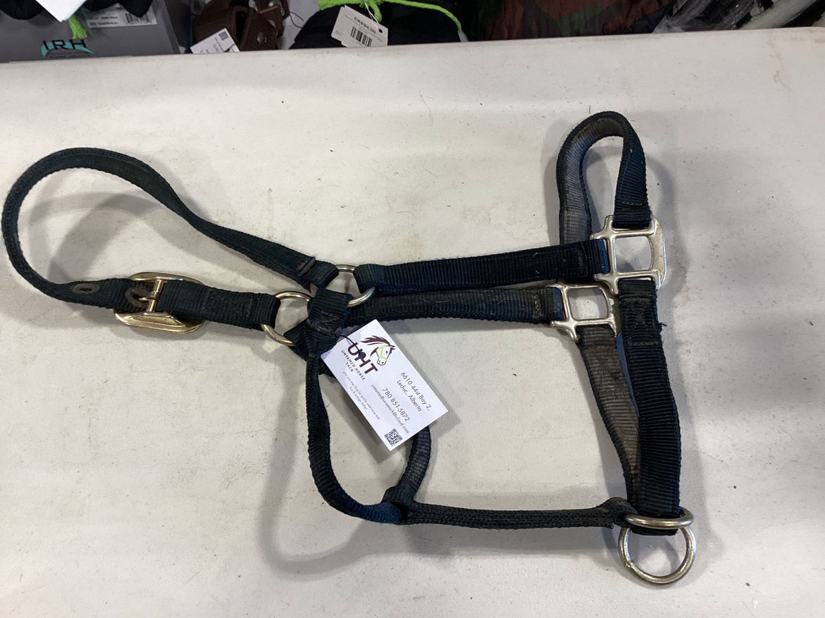 Halter Nylon Green 