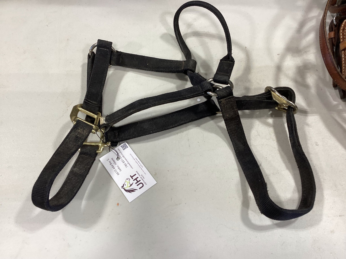 Halter Nylon Black Horse 