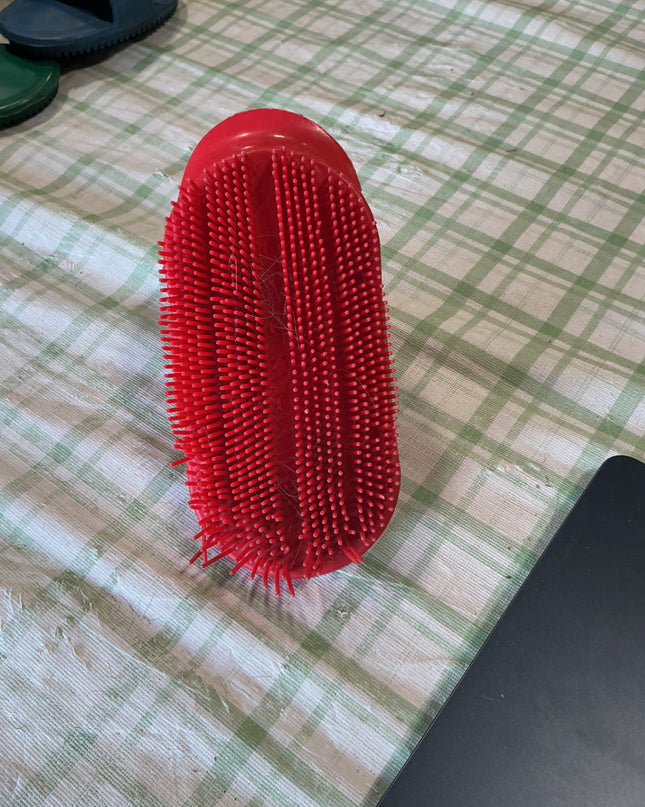 grooming shedding curry comb red
