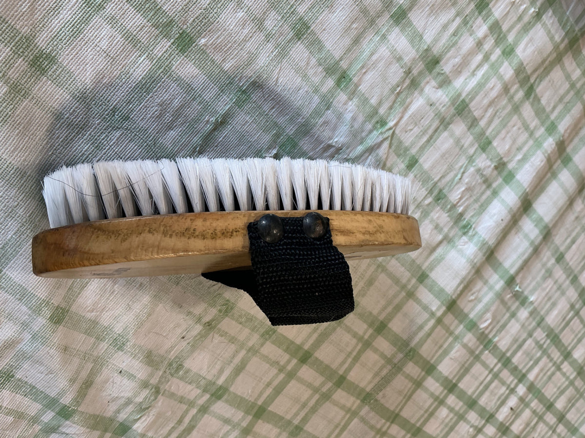 grooming brush hard brush 