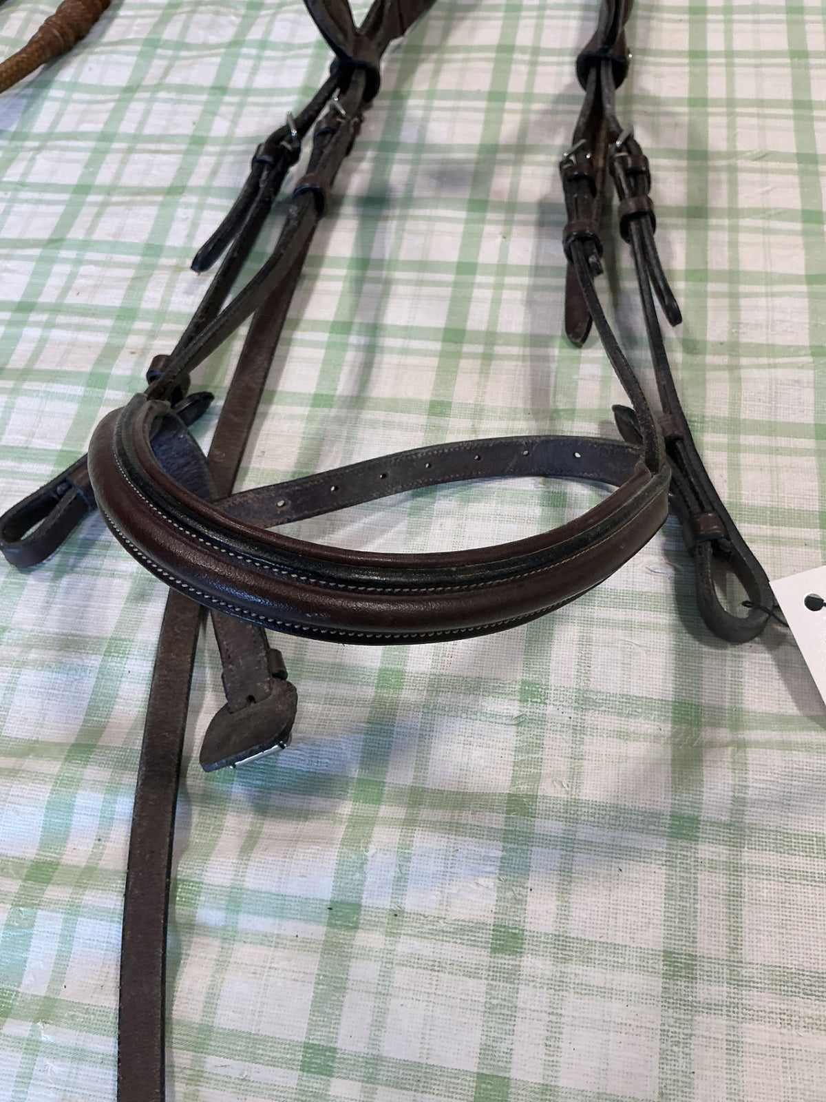English Bridle Brown Horse