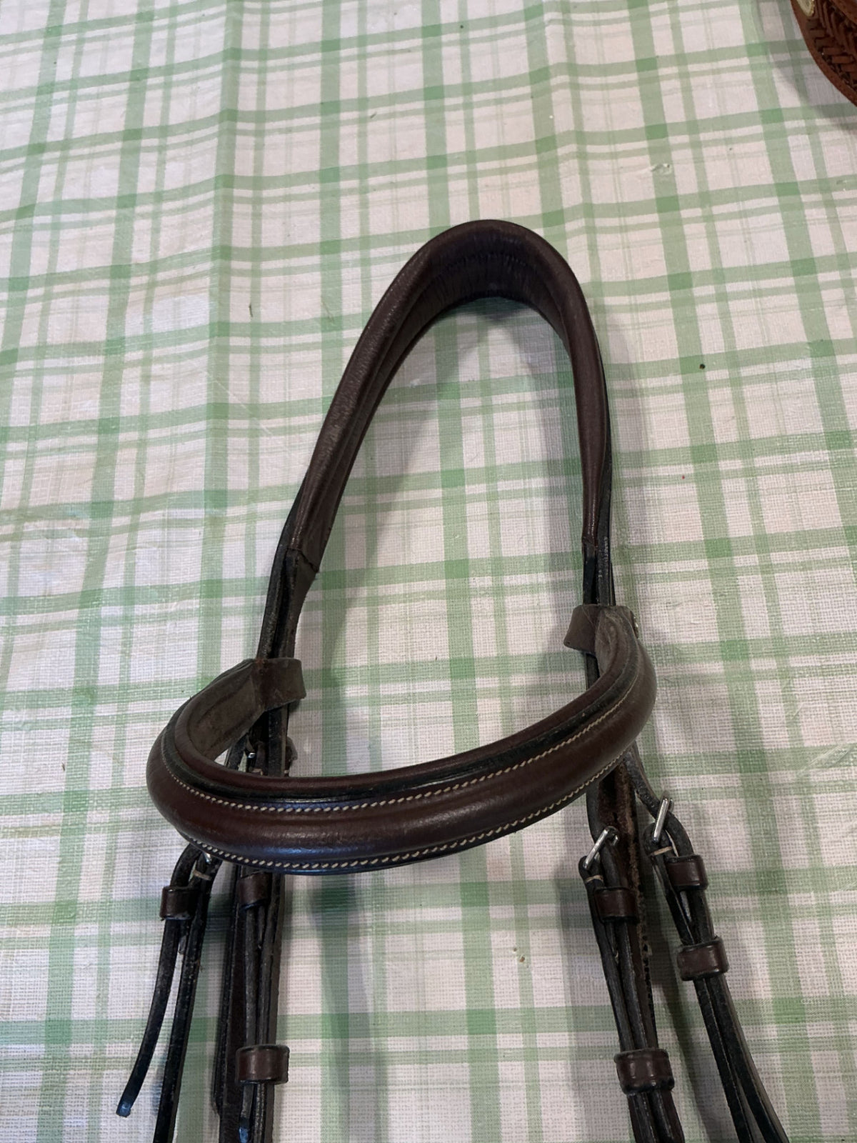 English Bridle Brown Horse