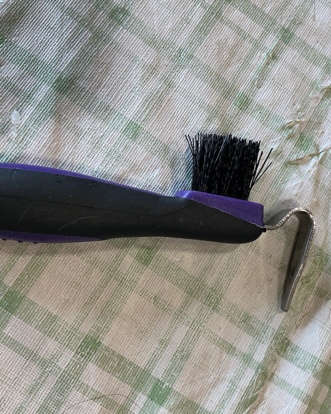 hoof pick with brush