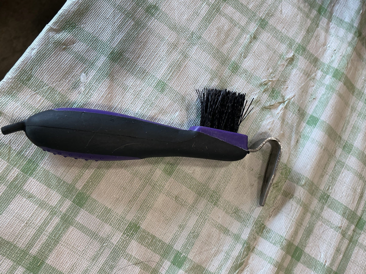 hoof pick with brush