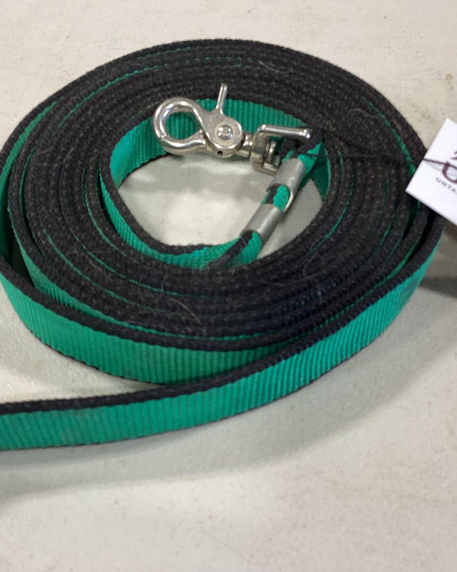 Lead Or Dog Leash 12Feet Green 