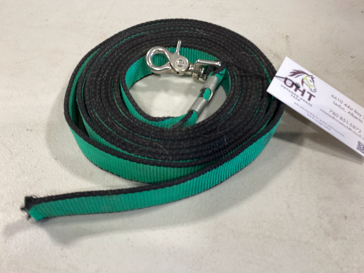 Lead Or Dog Leash 12Feet Green 
