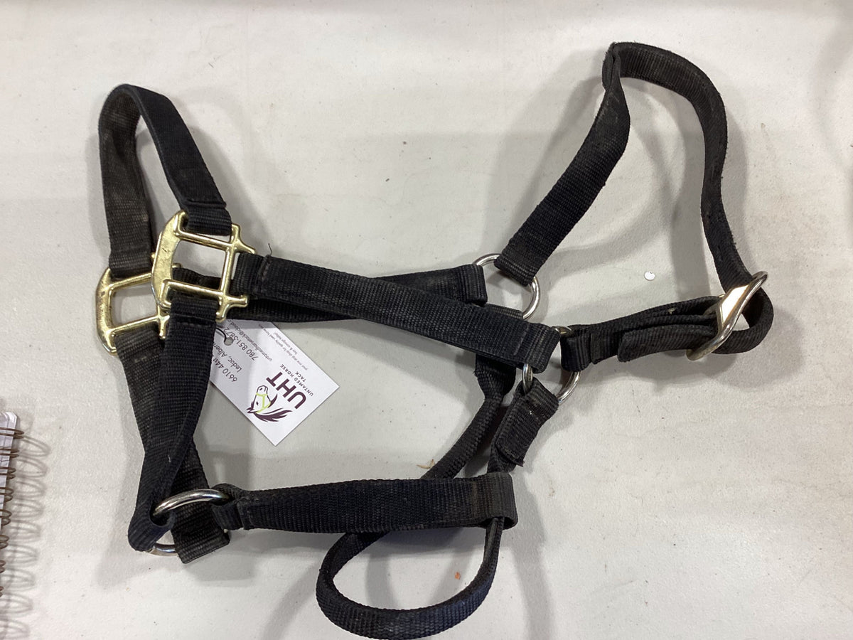 Halter Nylon Black Horse 