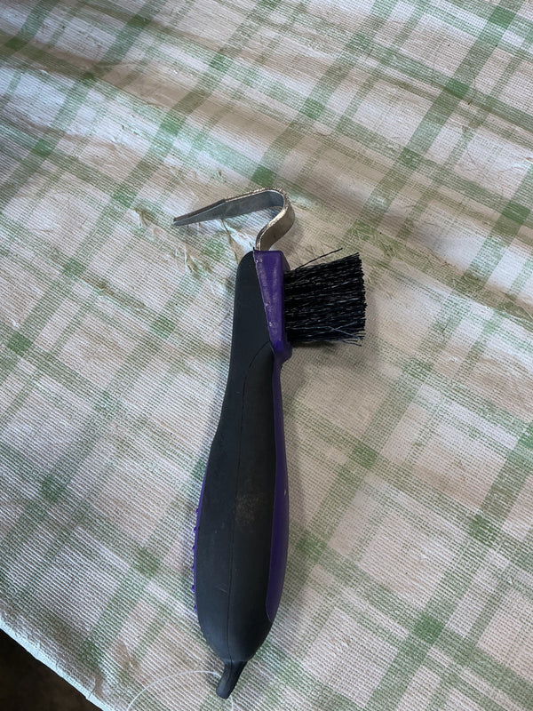 Hoof Pick with Brush (A) | Used, Good