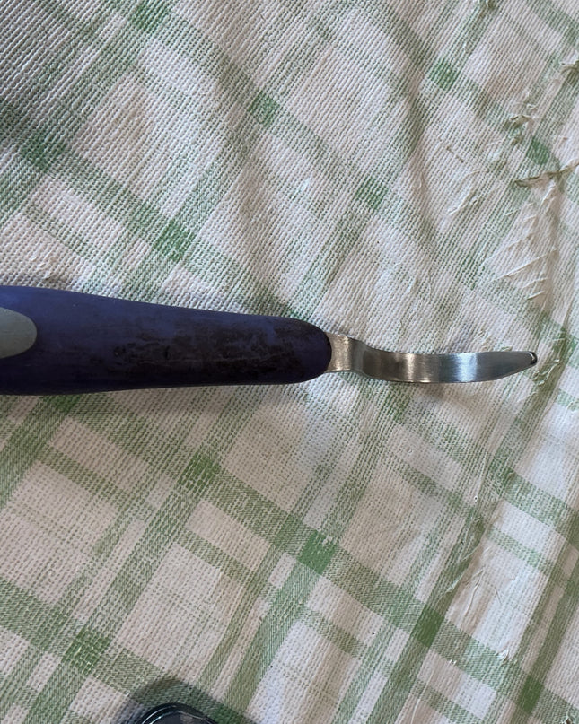 hoof pick 