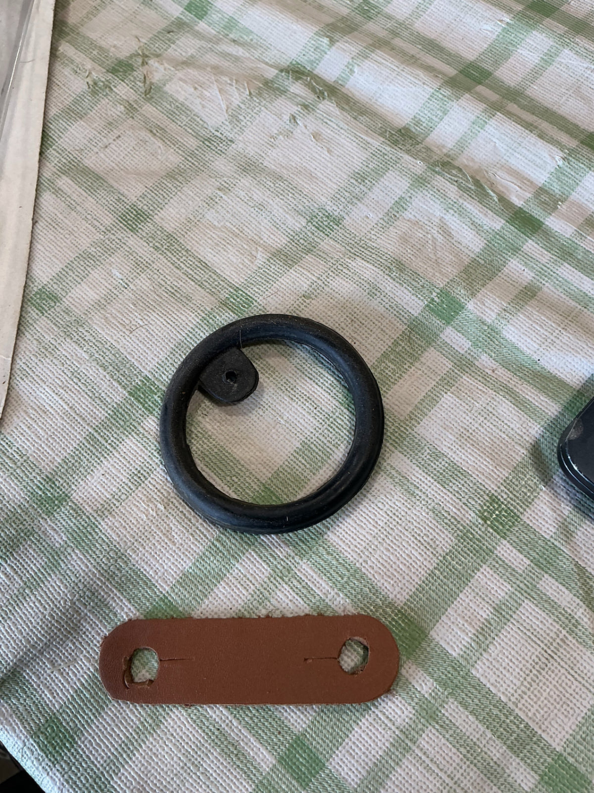 bit gaurd and leather curb strap 