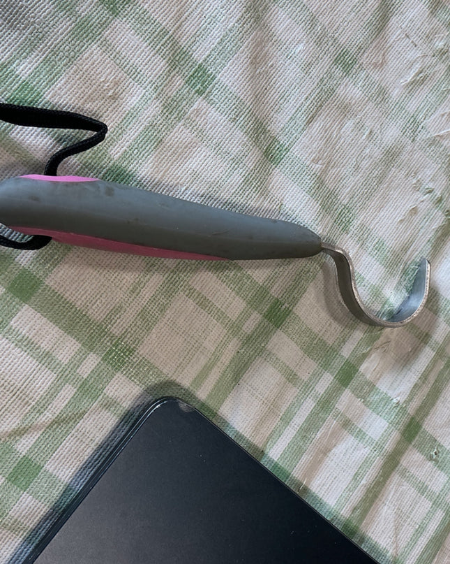 hoof pick 