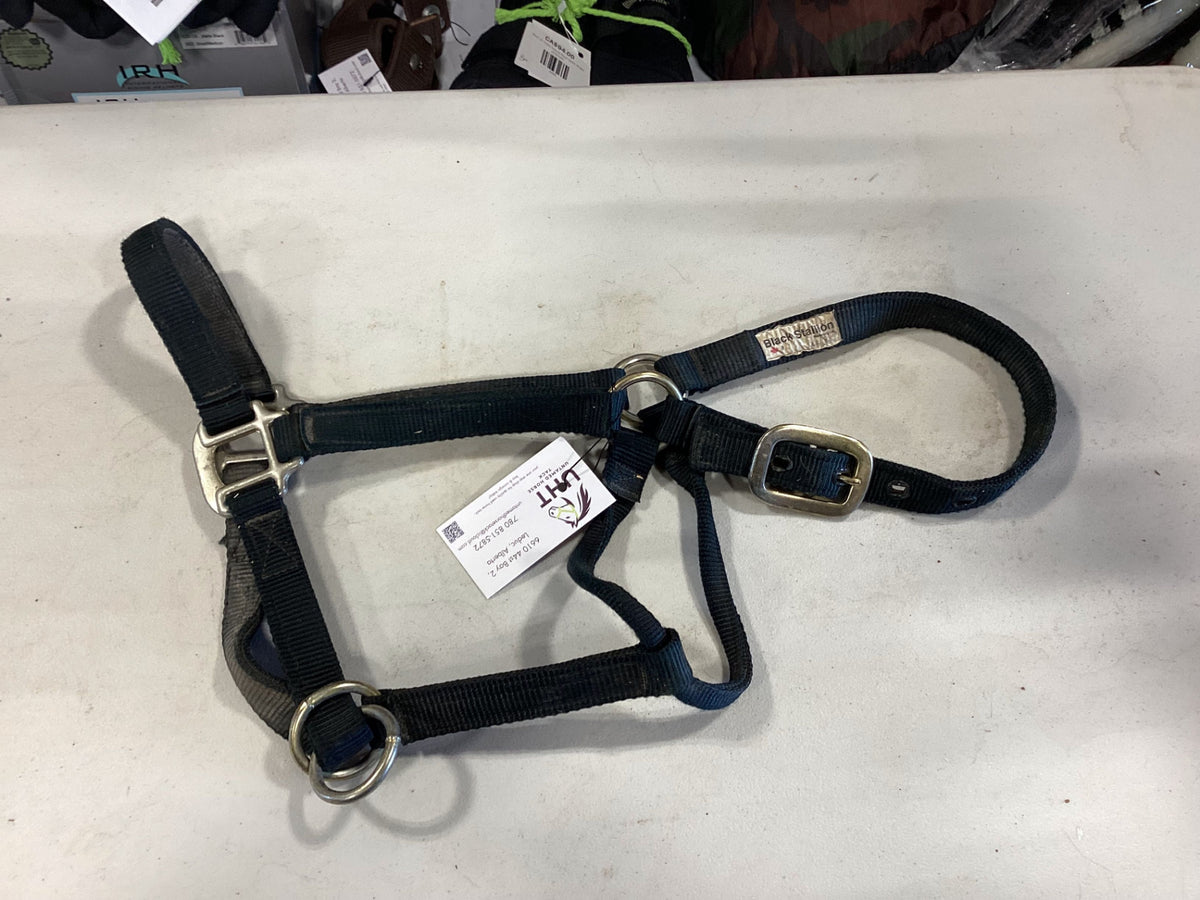 Halter Nylon Green 