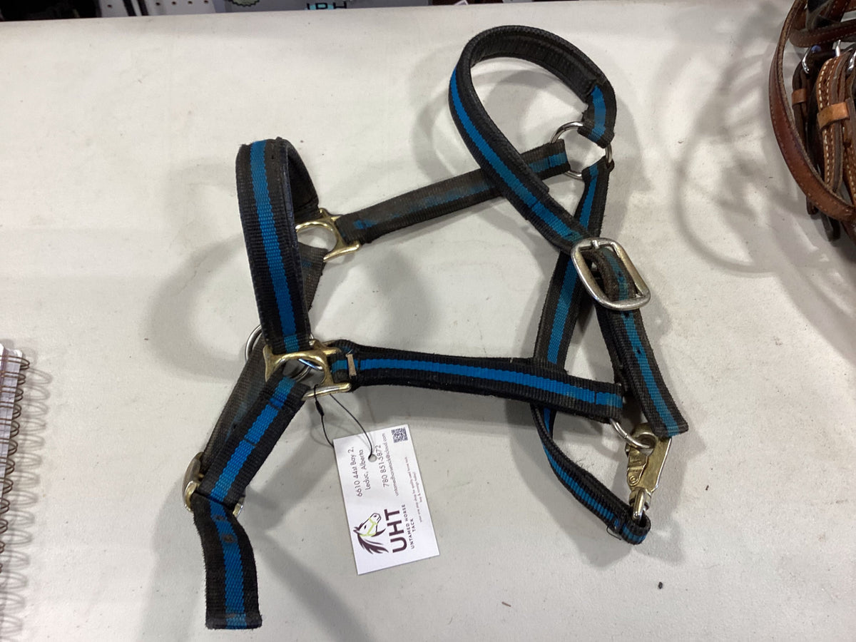 Halter Nylon Black/Blue Large