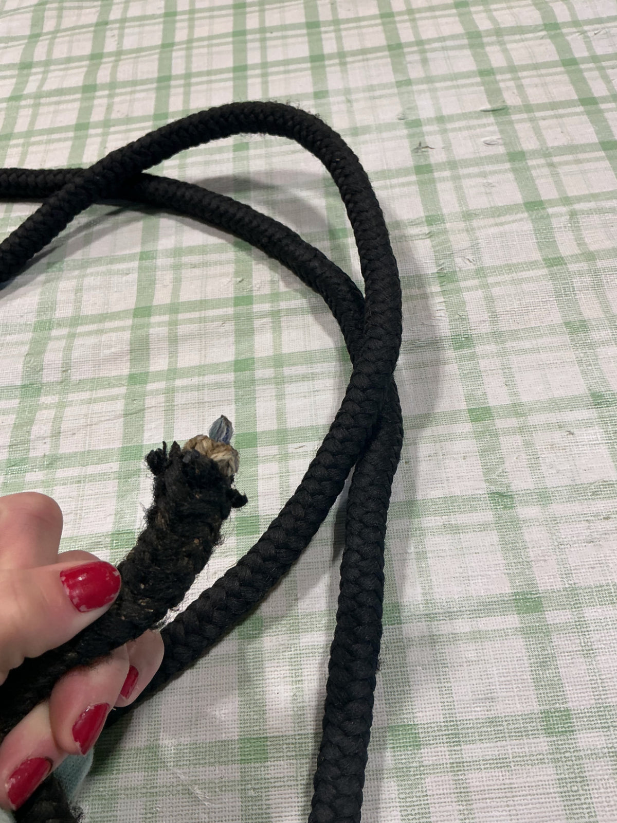 dog lead nylon 