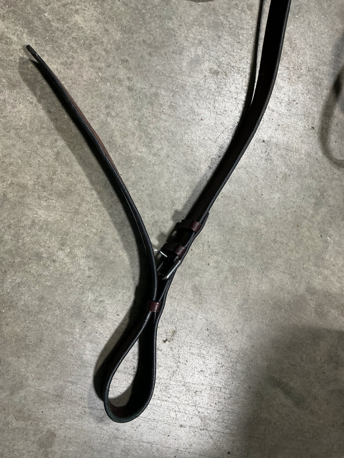 english breast collar large 