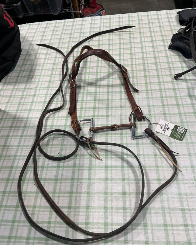 western bridle with reins and bit 