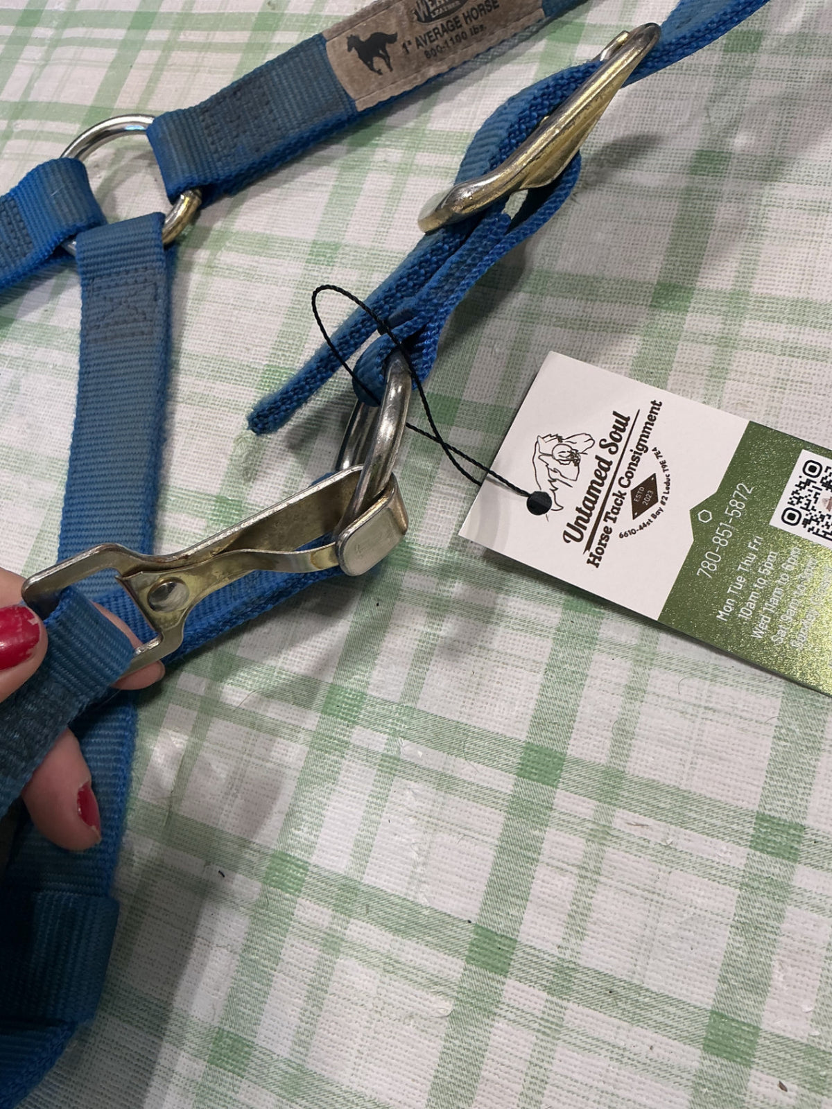 halkter nylon blue horse size weaver 