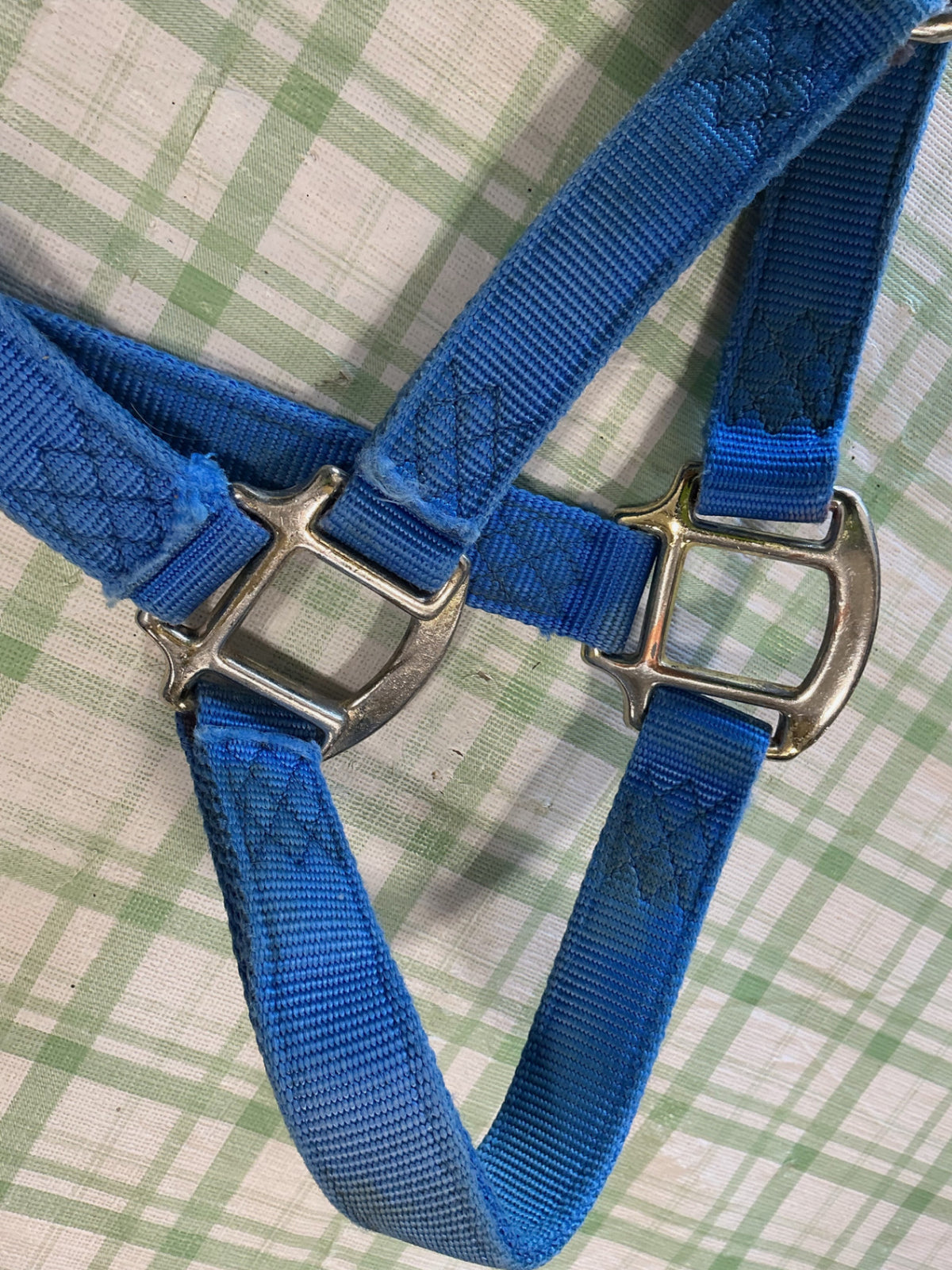 halter nylon blue horse size