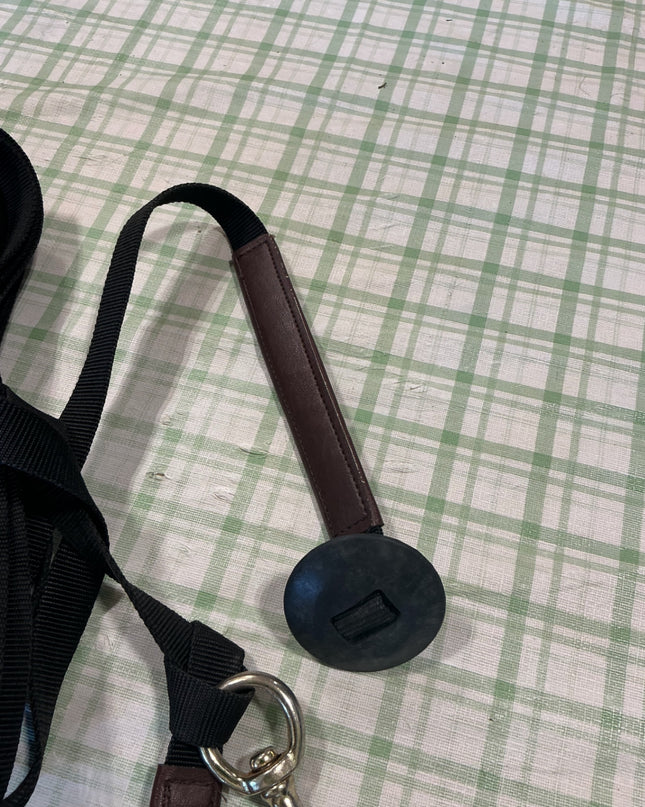 lung line 