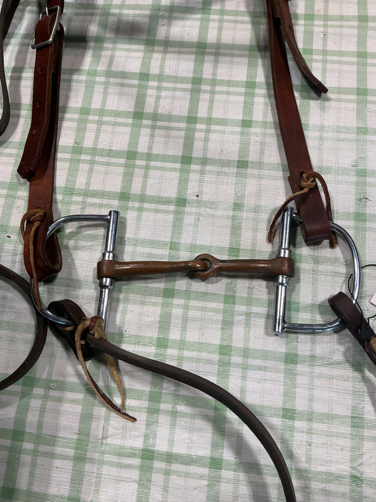 western bridle with reins and bit 