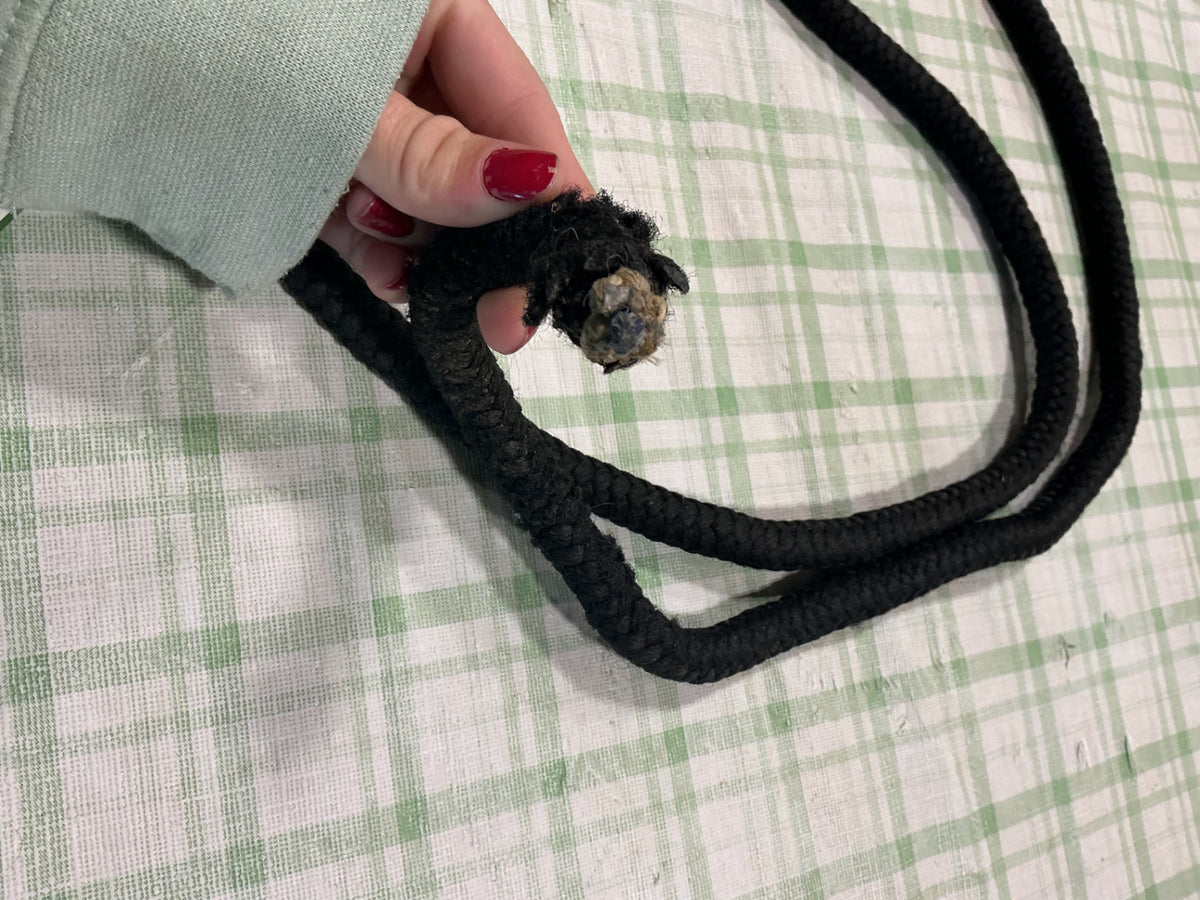 dog lead nylon 