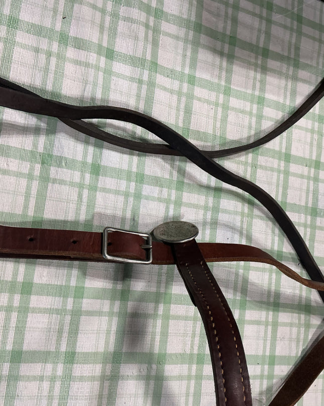 western bridle with reins and bit 