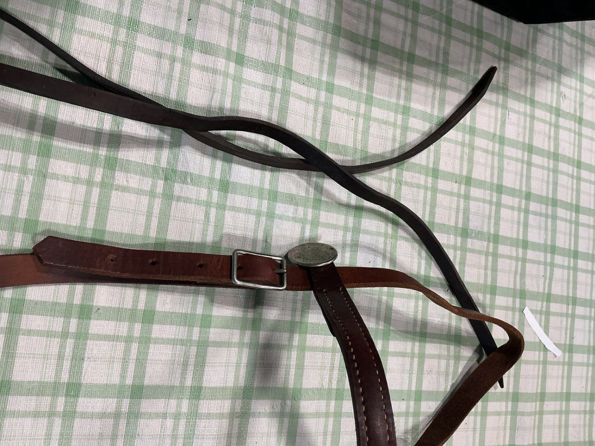 western bridle with reins and bit 