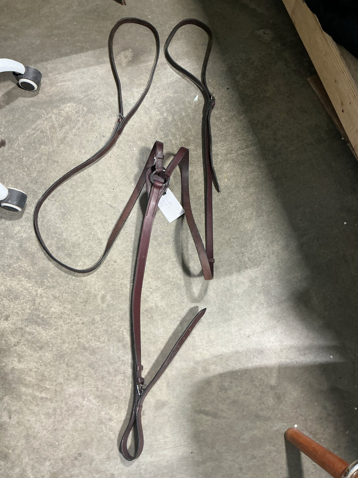 english breast collar large 