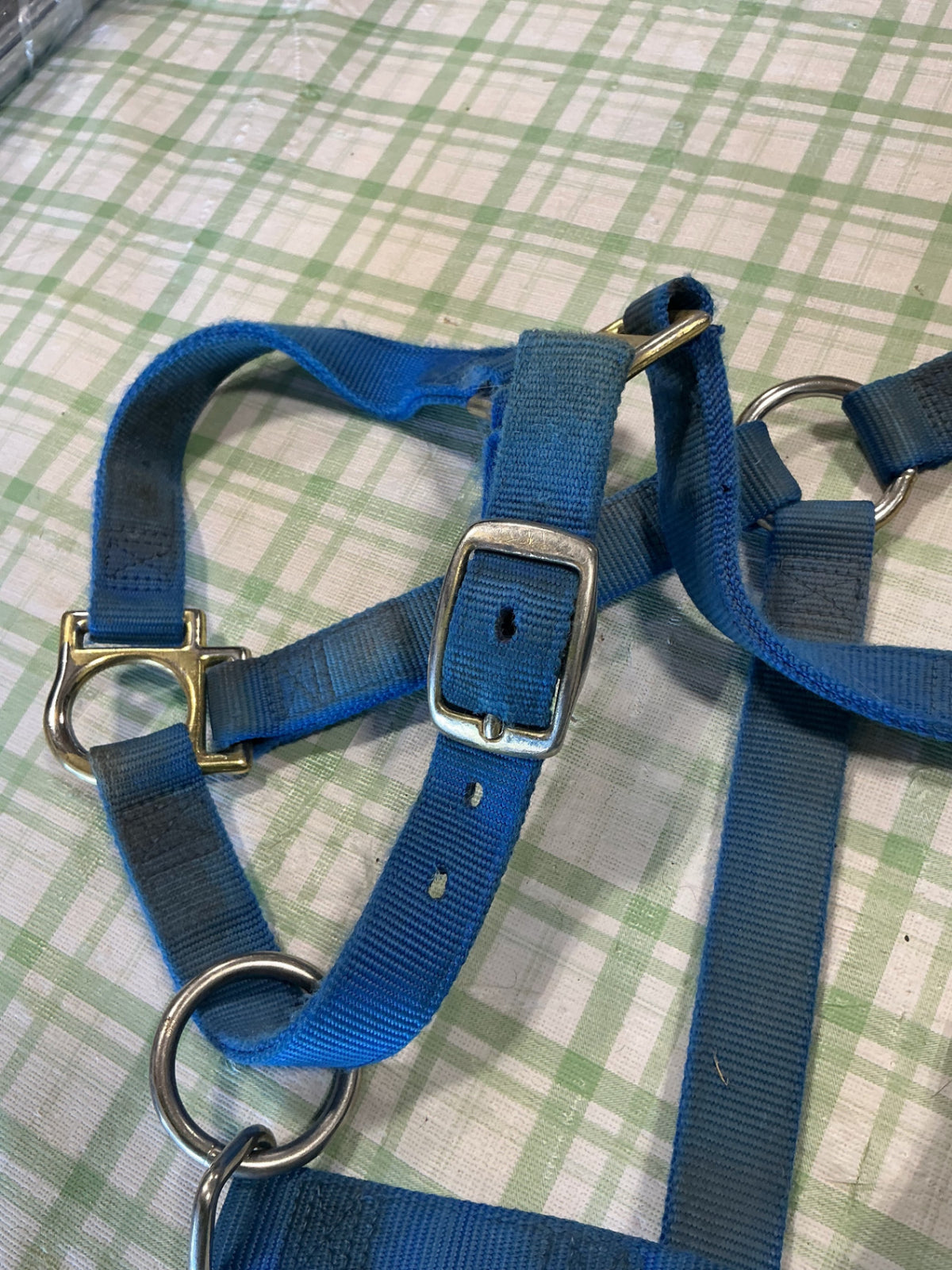 halkter nylon blue horse size weaver 