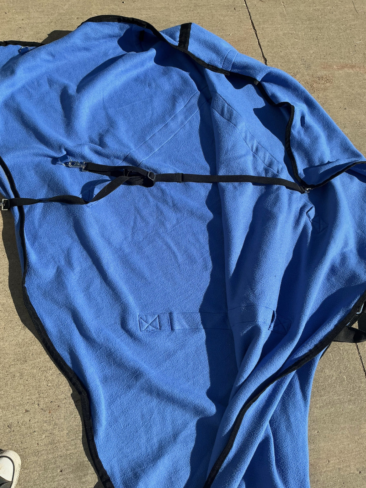 blue cooler 76"
