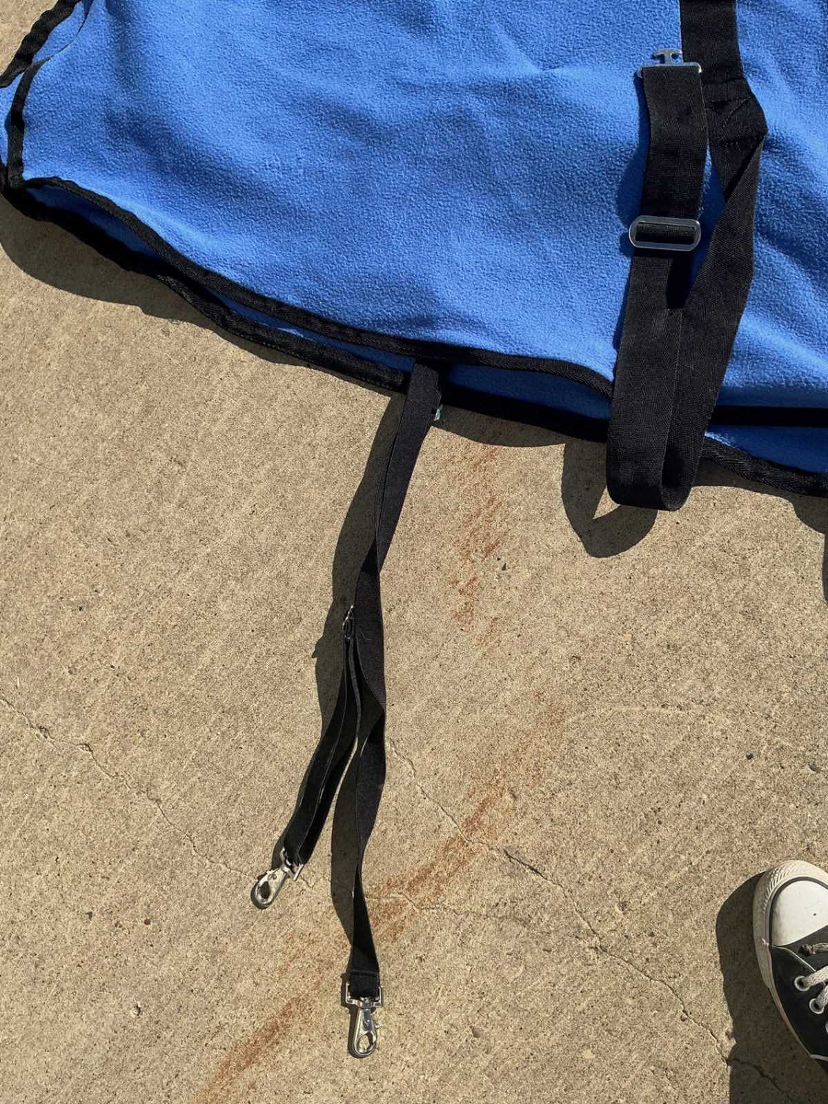 blue cooler 76"