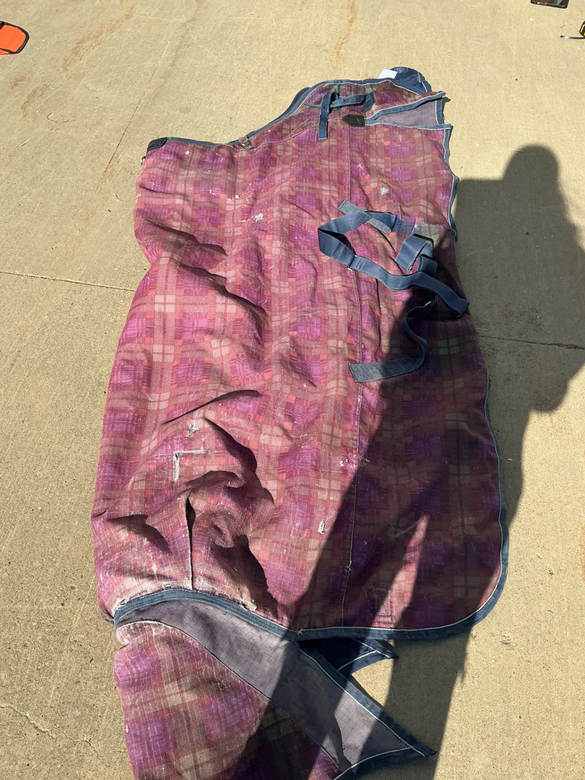 horse blanket  with neck piece 75"