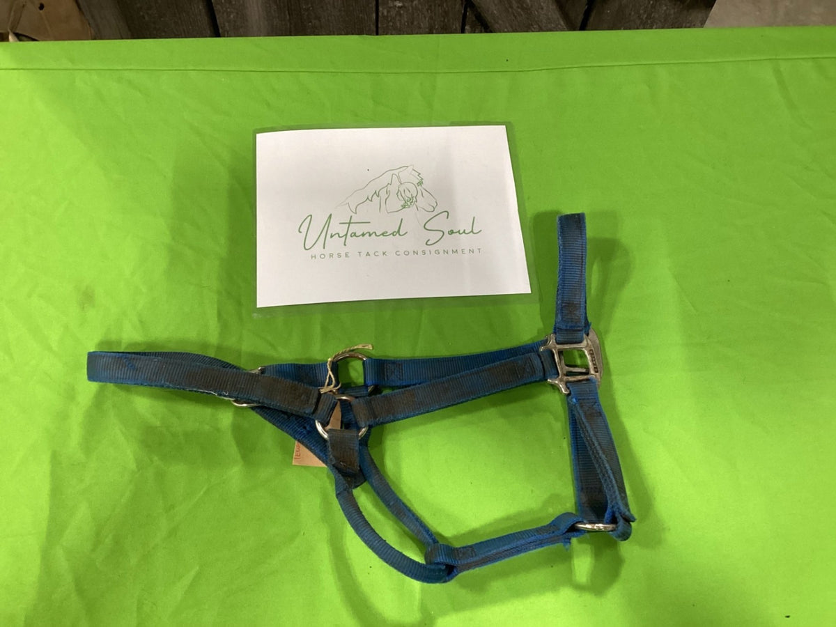 Halter – Nylon, Blue (A) | Used