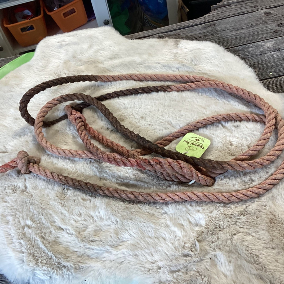 Halter – Cow, Rope (3 Available, Price Each) | Used