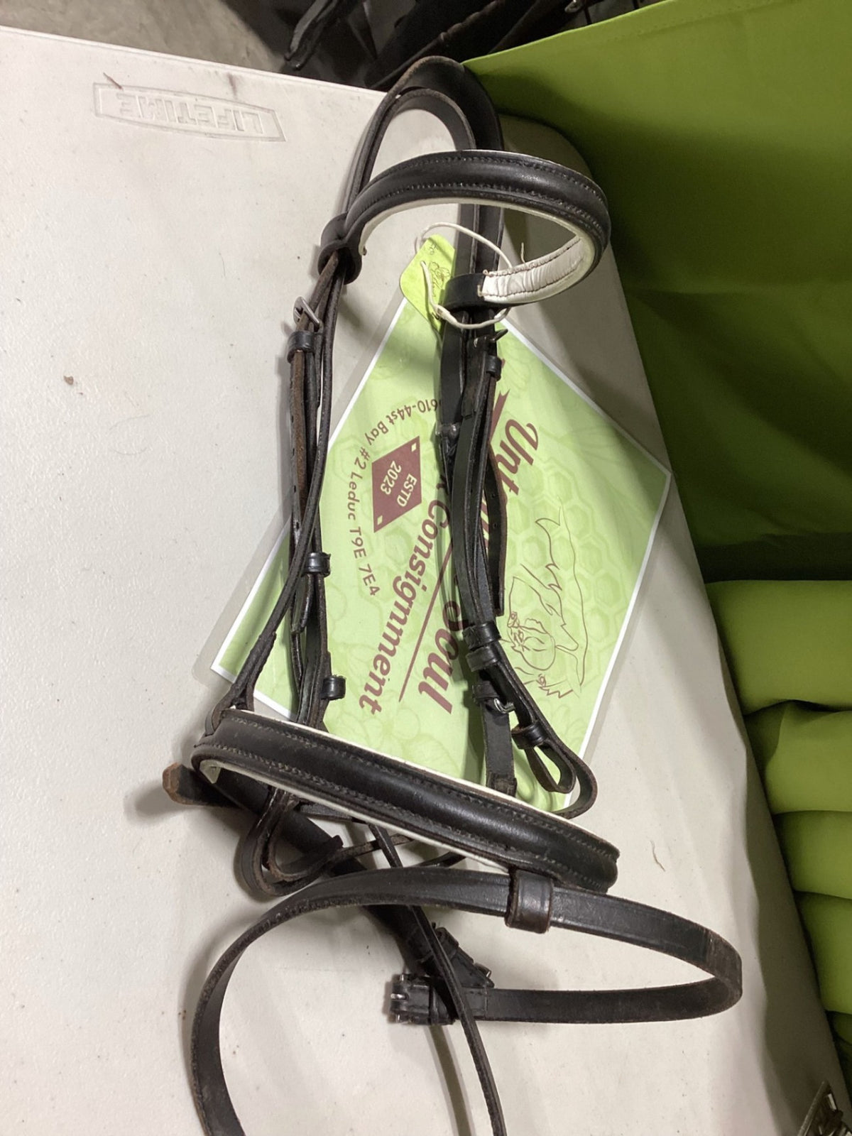 English Bridle – Black | Used