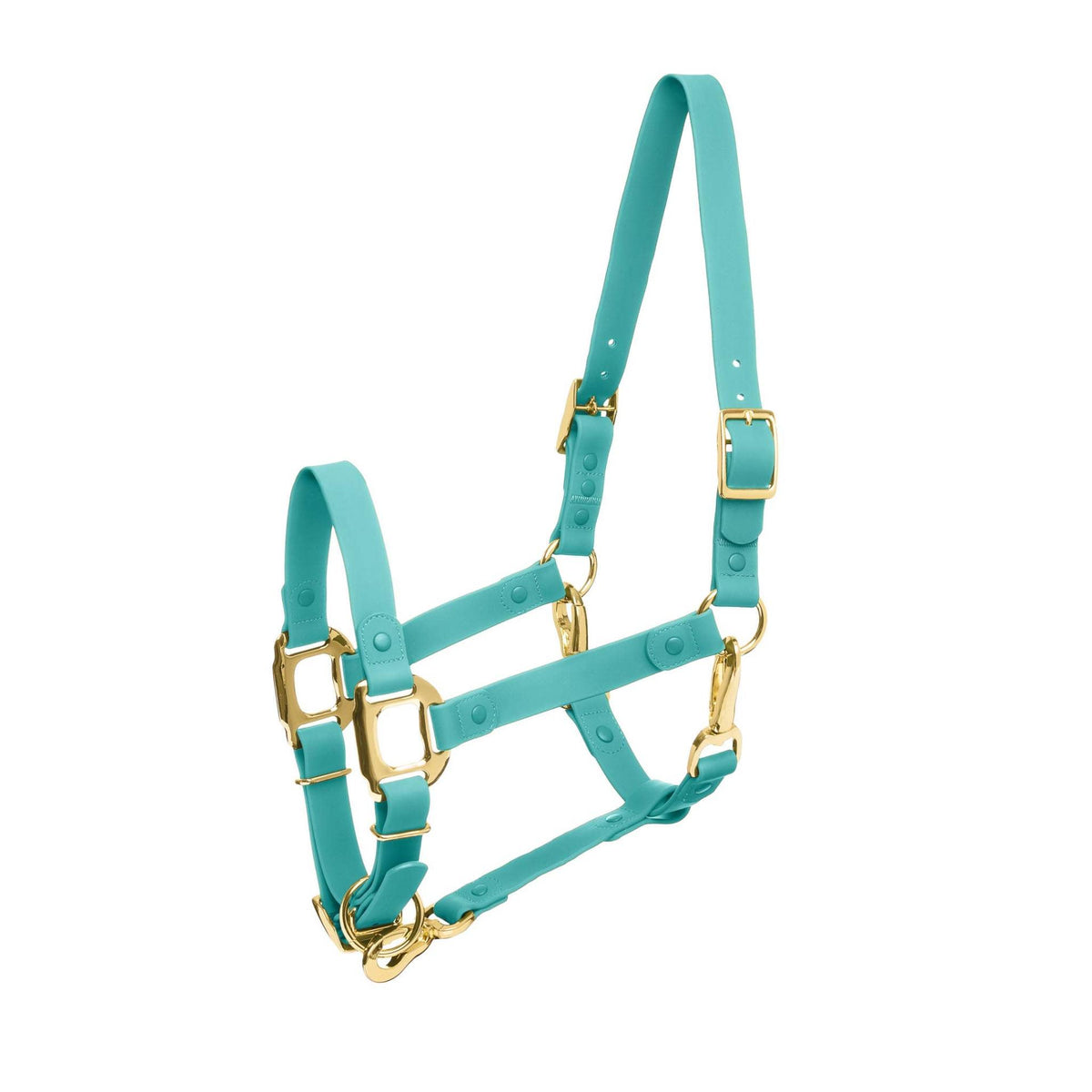 Halter – iCavalos Breakaway, Turquoise, Cob | New