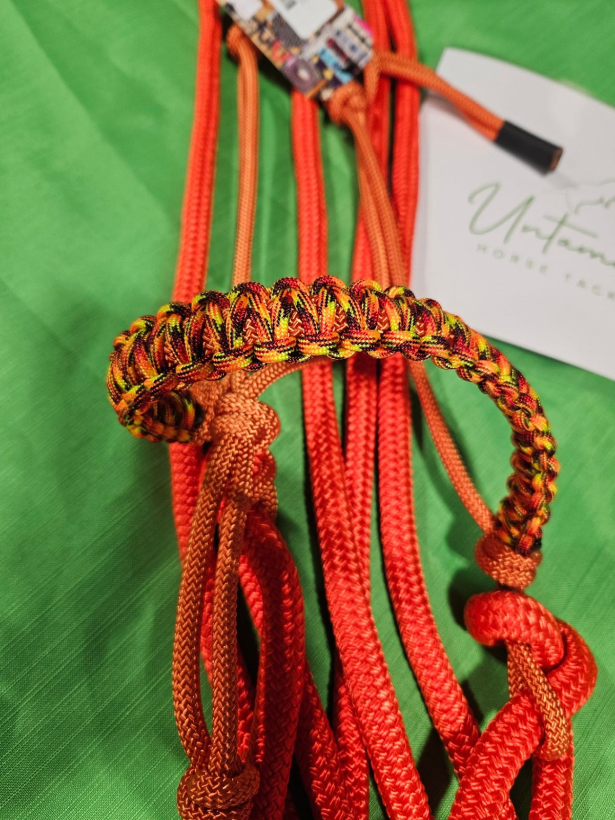 Hackamore – CP Custom Tack Loping, Orange | New