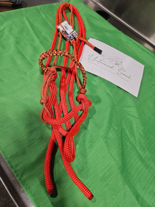 Hackamore – CP Custom Tack Loping, Orange | New