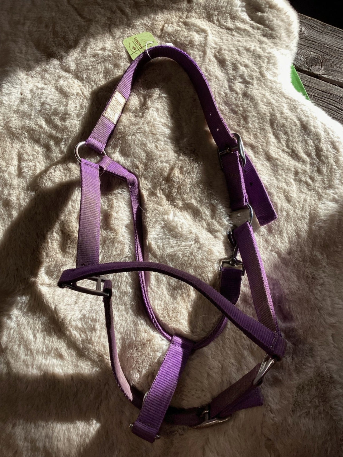 Halter – Nylon, Purple, Average (Est.) | Used