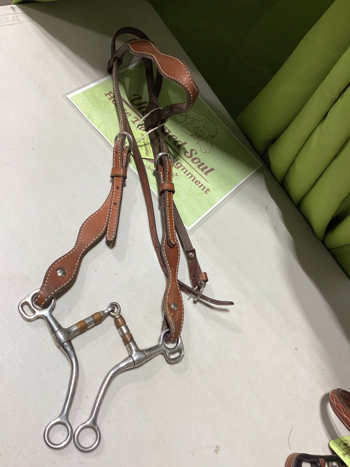 Western Bridle – with Bit | Used