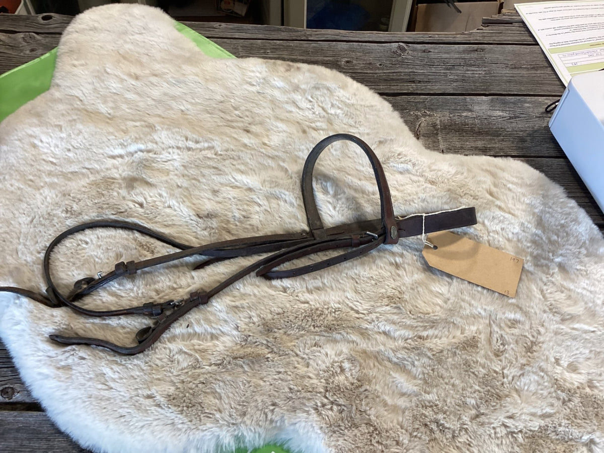 English Bridle – Schooling, Brown | Used