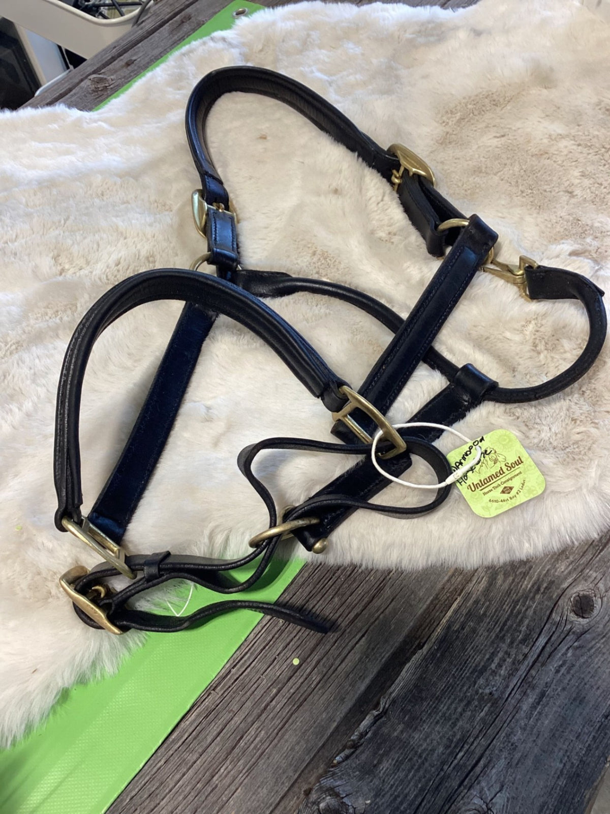 Halter – Leather, Warmblood/Large | Used