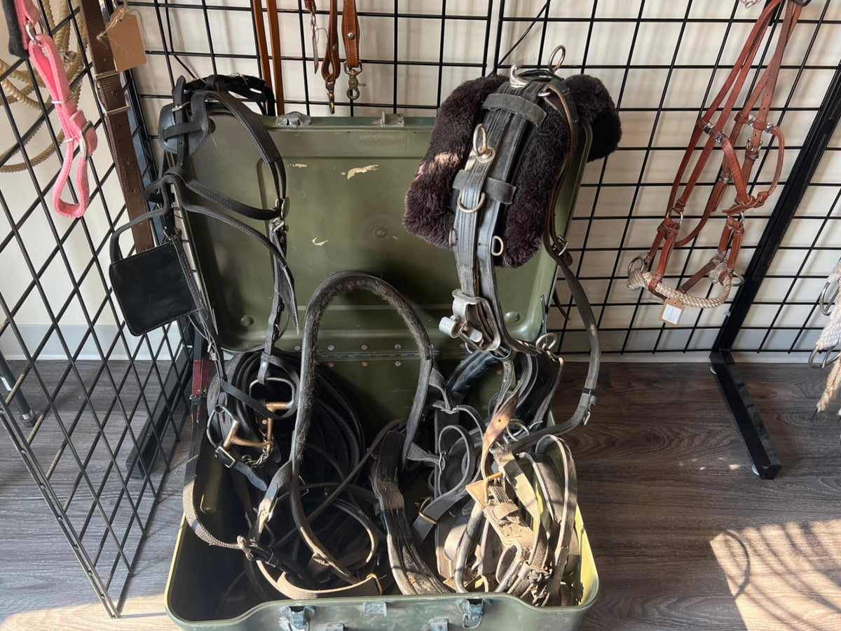 Driving Harness – Horse (Save $1,000) | Used