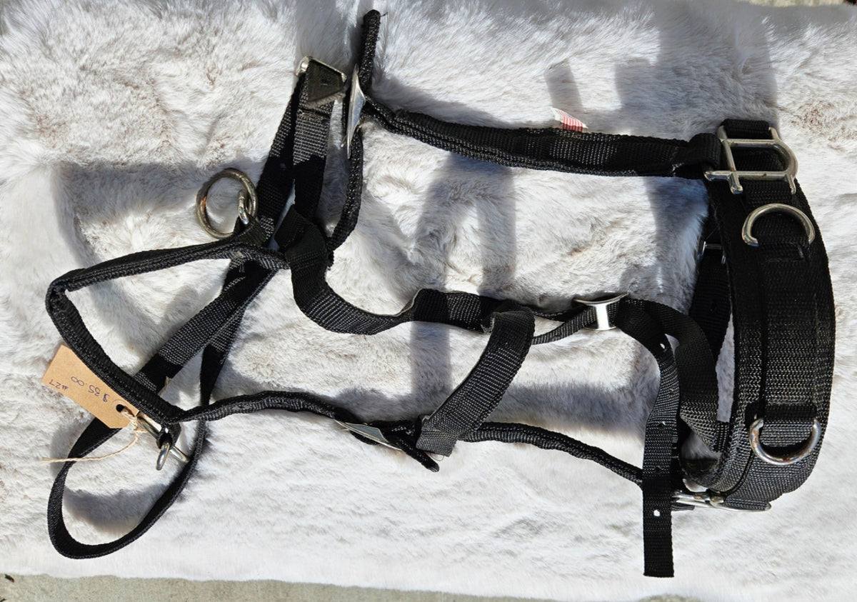 Lunging Cavesson – Black | Used