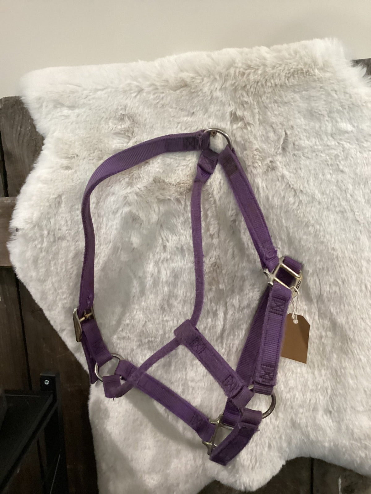Halter – Nylon, Purple with Cheek Snap | Used