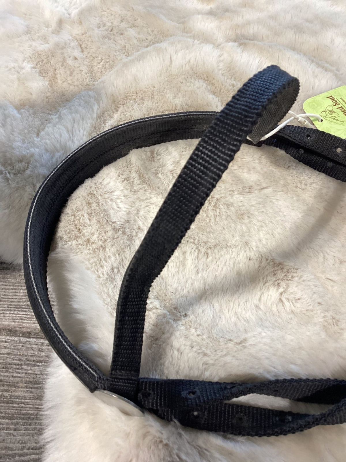 Bitless Bridle – Nylon, Nose Pressure, Black | Used