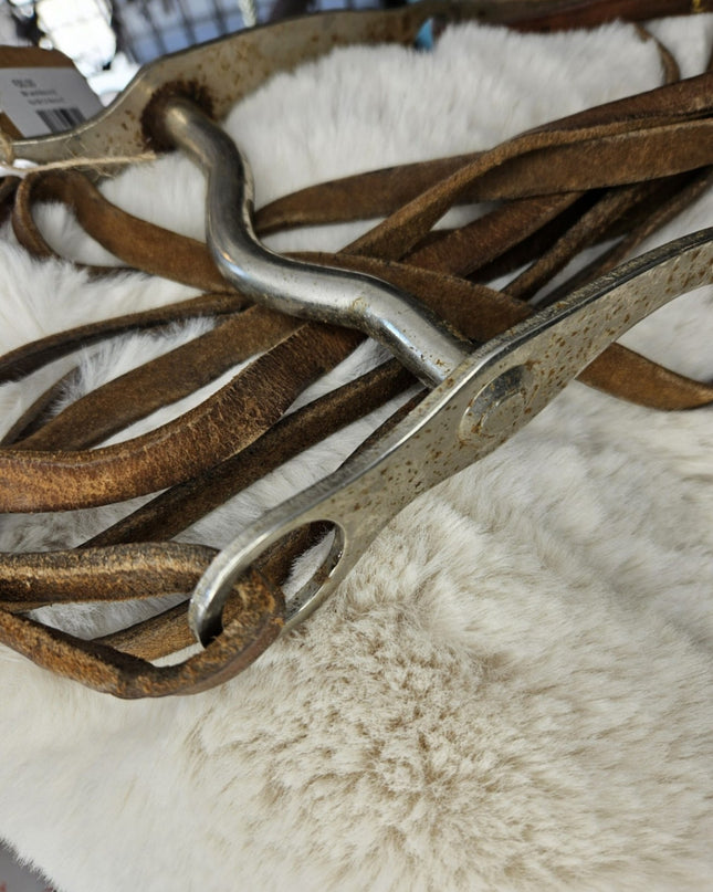 Bit & Reins – 5" Bit with Lightweight Reins (#2) | Used