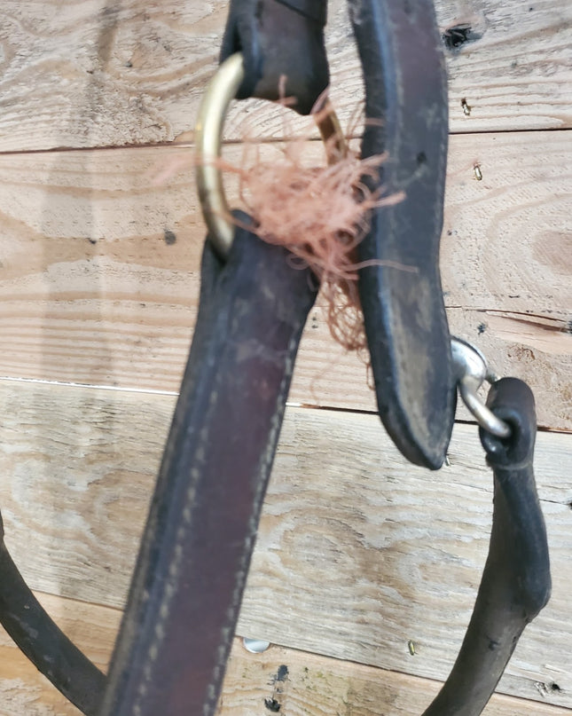 Halter – Leather (B, Broken Clasp) | Used
